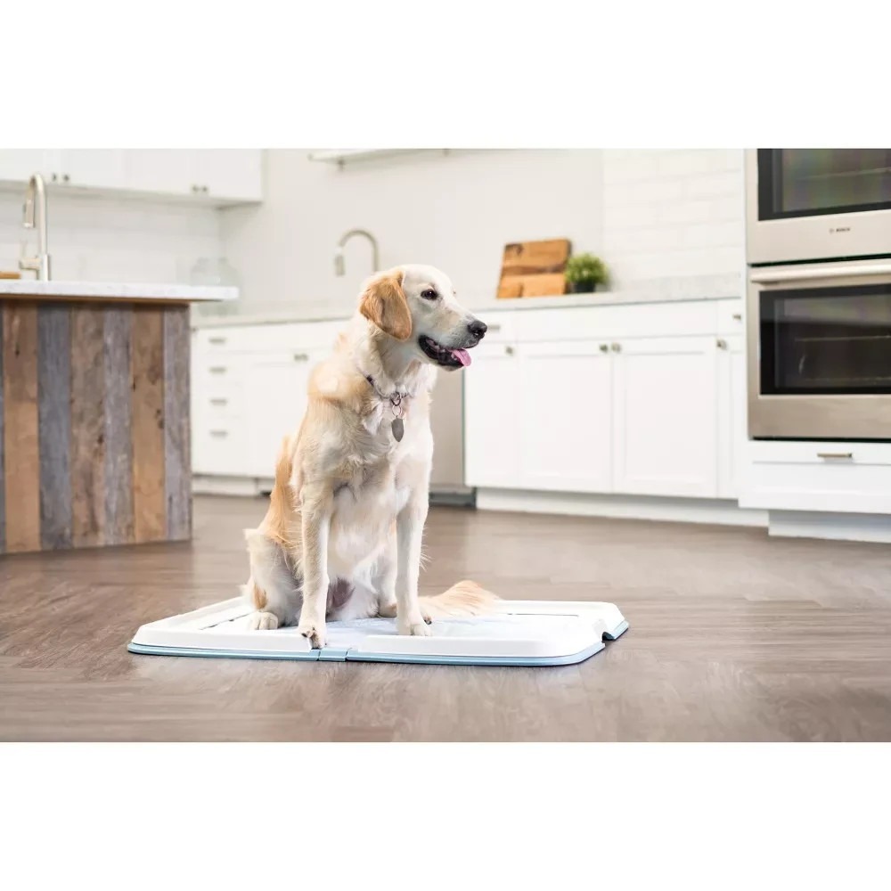 IRIS USA Neat N Dry Extra Large Pet Training Pad Holder Fits 23.5"x35.5" Blue‎ - Picture 5 of 11
